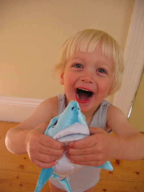 shark from Paige - 1