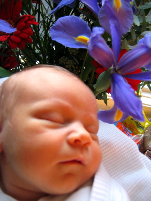 Lucinda 1 week old - 4