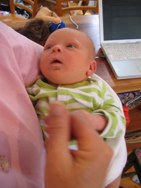 Lucinda 1 week old - 5