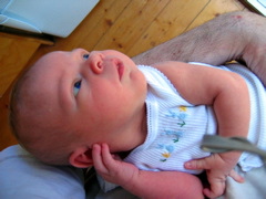 Lucinda 4 days old - 1