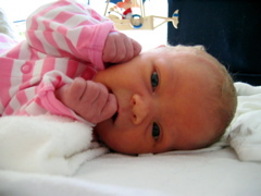 Lucinda 1 week old - 3