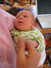 Lucinda 1 week old - 5