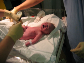 1.18am 5 Oct - Royal Womens - 3